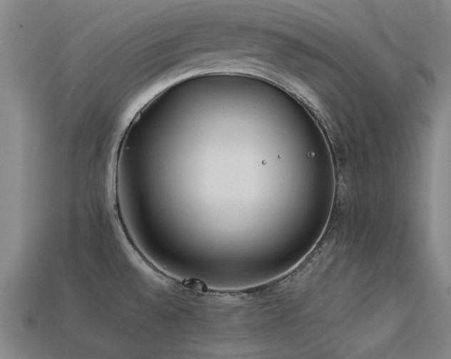 X0000113221528200909101140