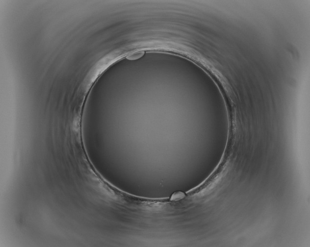 X0000113221529200909101140