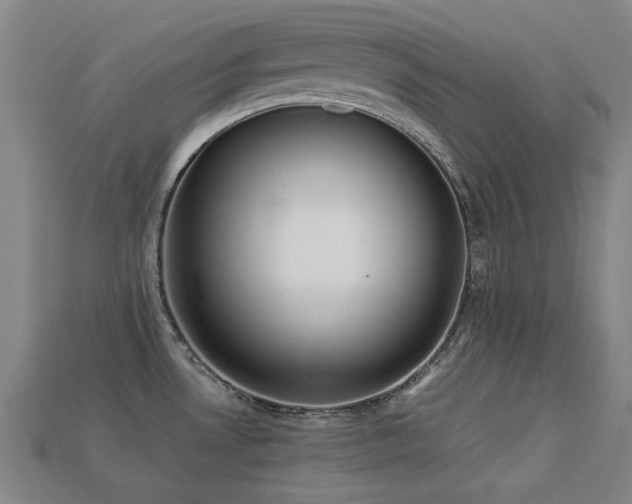 X0000113221530200909101140