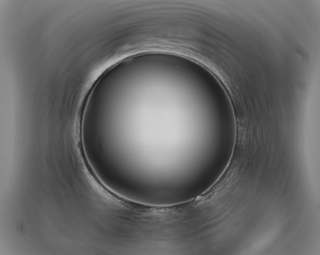 X0000113221531200909101140