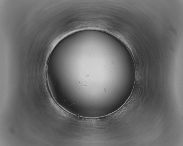 X0000113221532200909101140