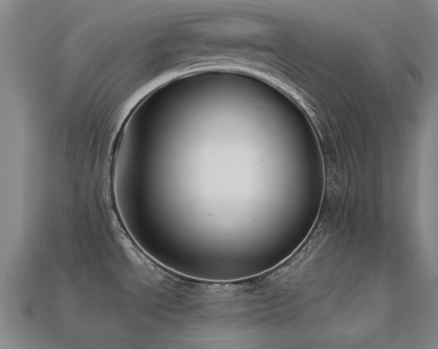X0000113221534200909101140