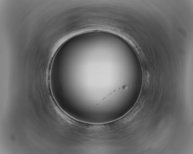 X0000113221535200909101140