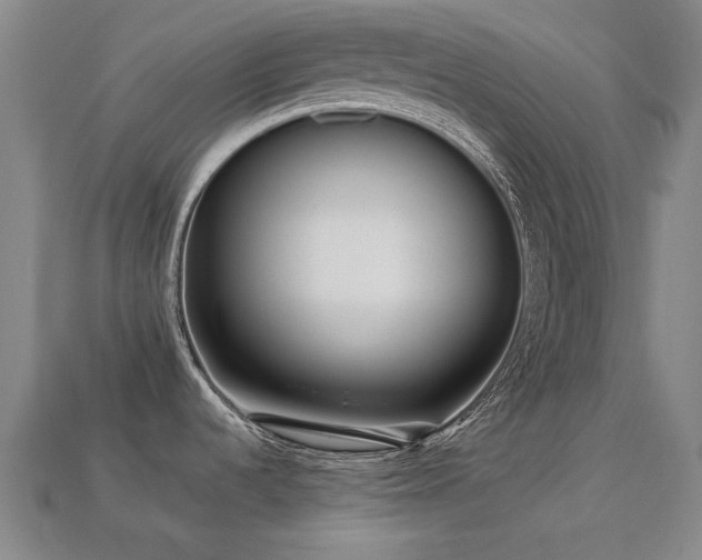 X0000113221536200909101140