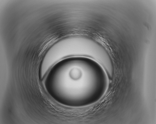 X0000113220001200909171605