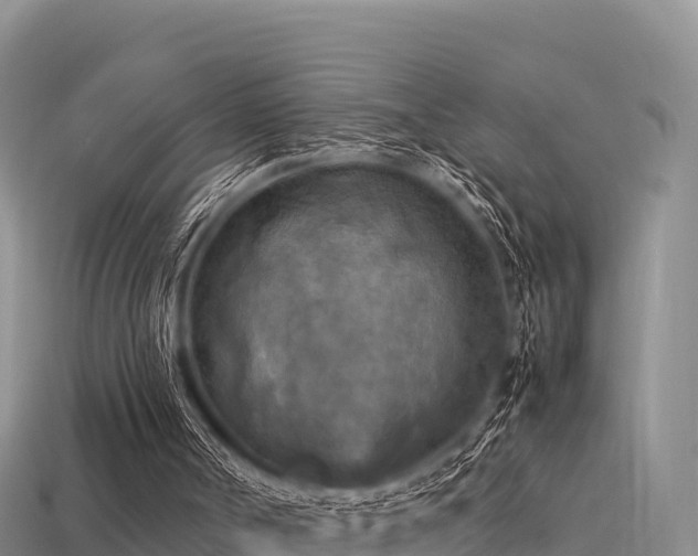 X0000113220002200909171605