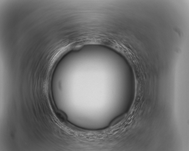 X0000113220003200909171605