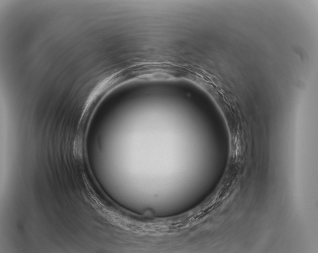 X0000113220004200909171604