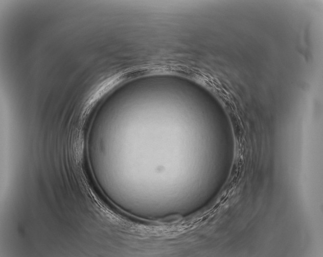 X0000113220005200909171604