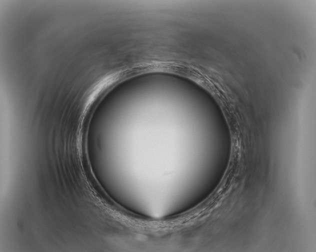 X0000113220006200909171604