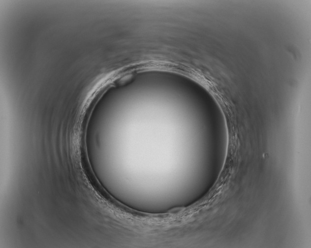 X0000113220007200909171604