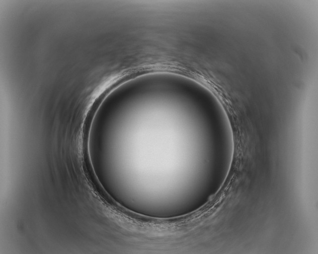 X0000113220008200909171604