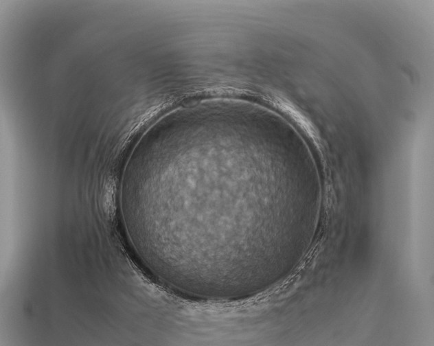 X0000113220009200909171604