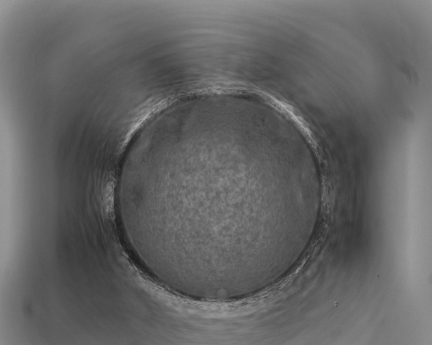 X0000113220010200909171604