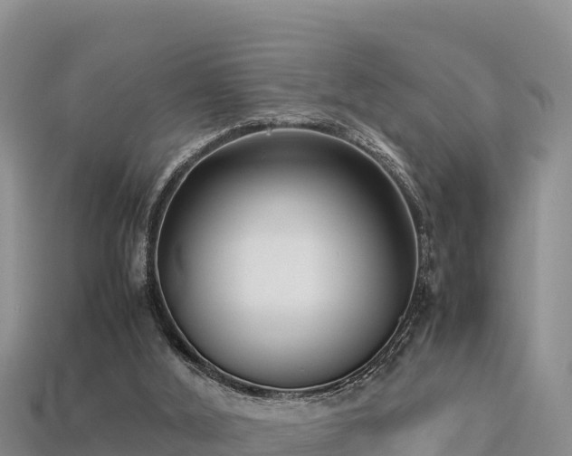 X0000113220012200909171604