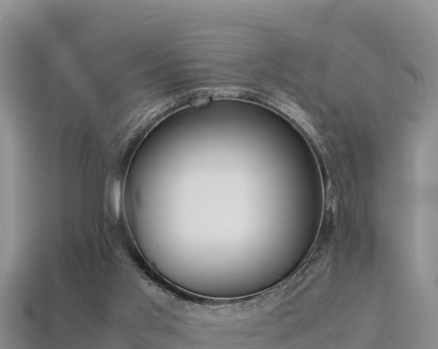 X0000113220013200909171604