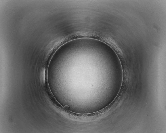 X0000113220014200909171604