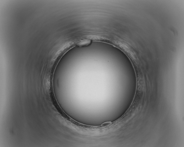 X0000113220015200909171604