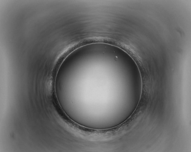 X0000113220016200909171604