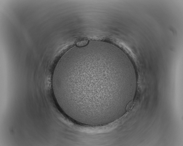 X0000113220017200909171604