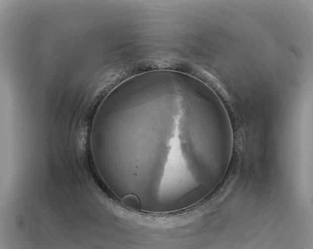 X0000113220018200909171604