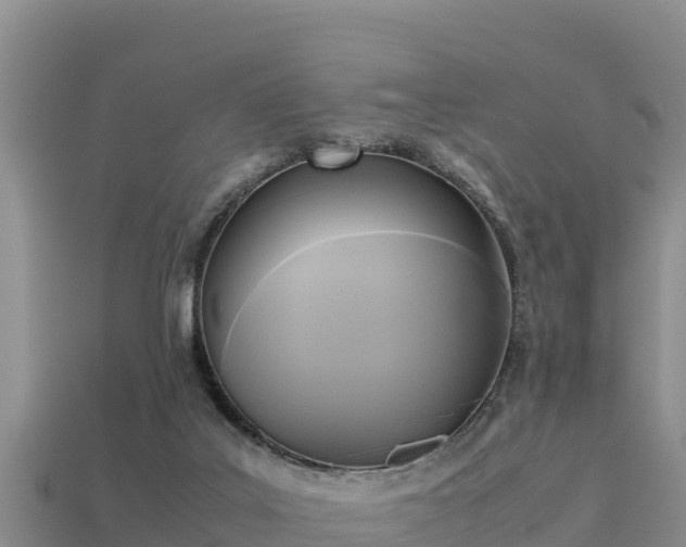 X0000113220019200909171604