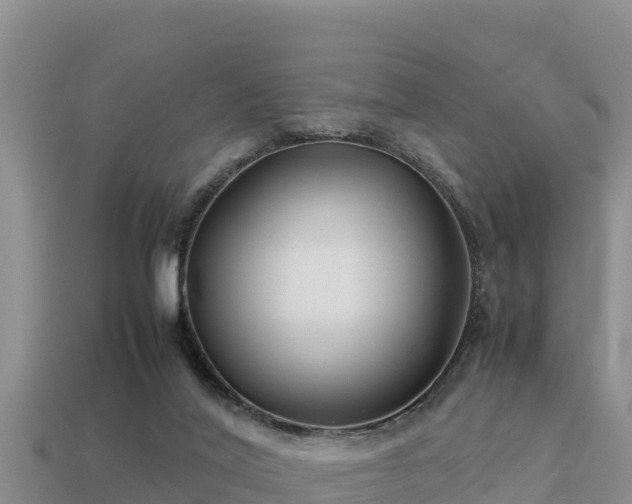 X0000113220020200909171604