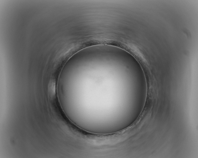 X0000113220021200909171604