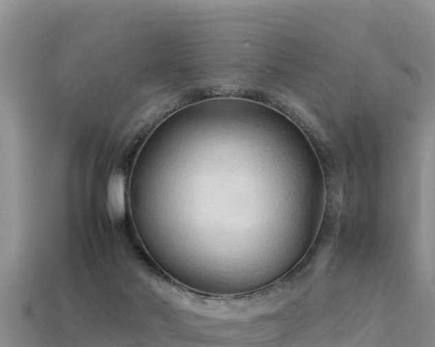 X0000113220022200909171604