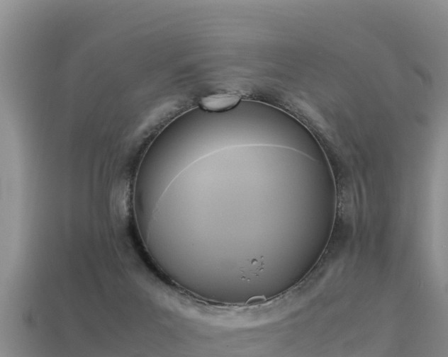 X0000113220023200909171604