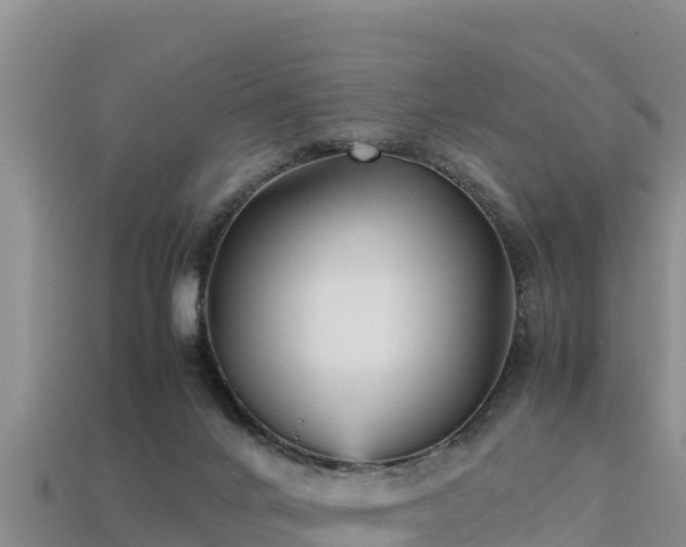 X0000113220024200909171604