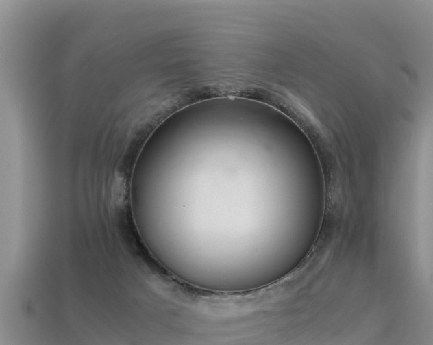 X0000113220025200909171604