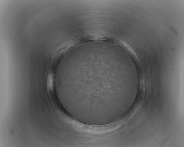 X0000113220026200909171604