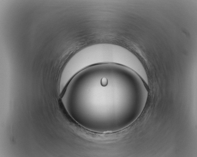 X0000113220027200909171604