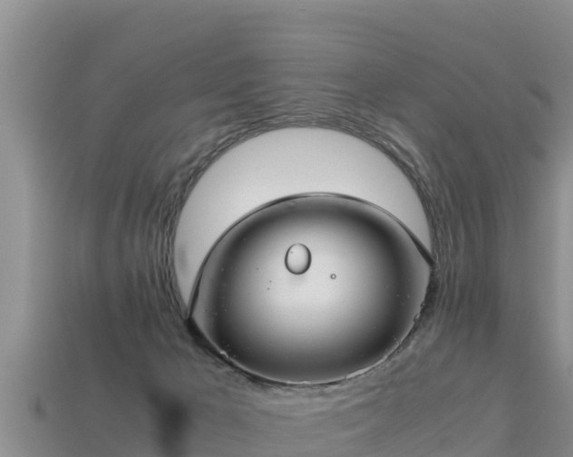 X0000113220029200909171604