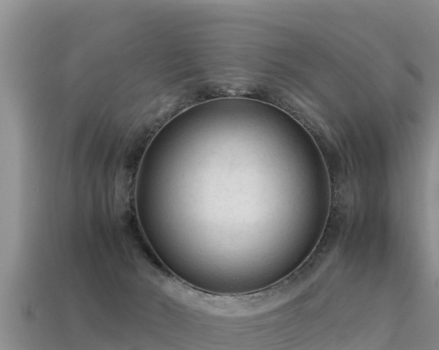 X0000113220030200909171604