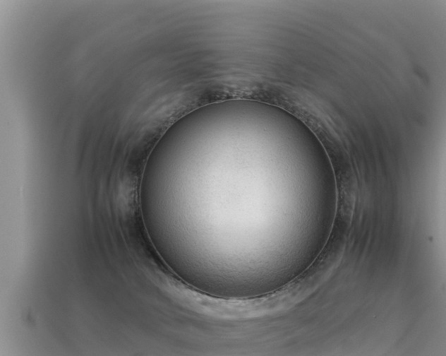 X0000113220034200909171604