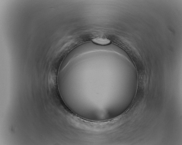 X0000113220035200909171604