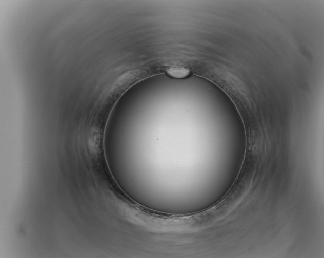 X0000113220036200909171604