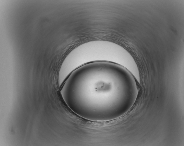 X0000113220037200909171604