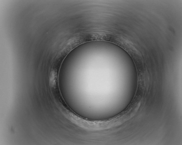 X0000113220038200909171604