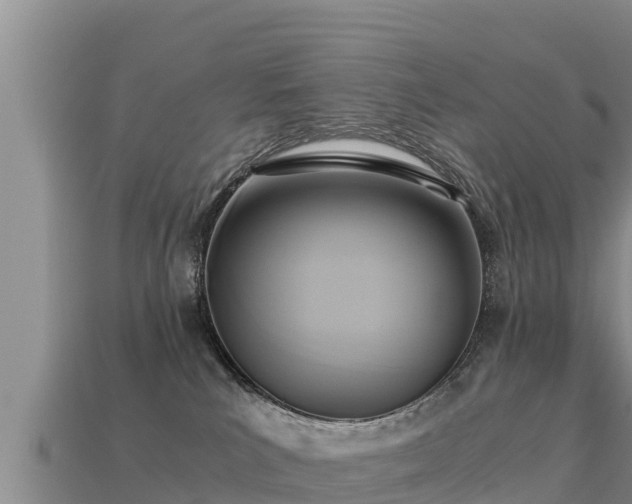 X0000113220039200909171604