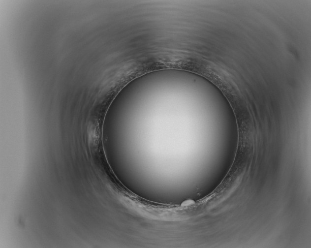 X0000113220040200909171604