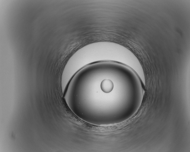 X0000113220041200909171604