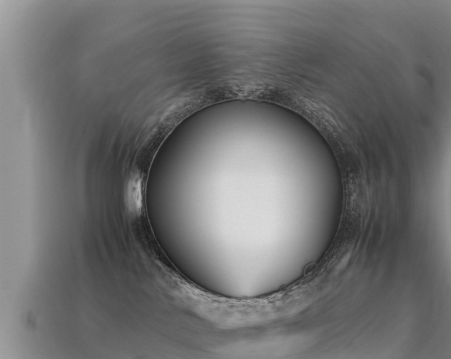 X0000113220042200909171604