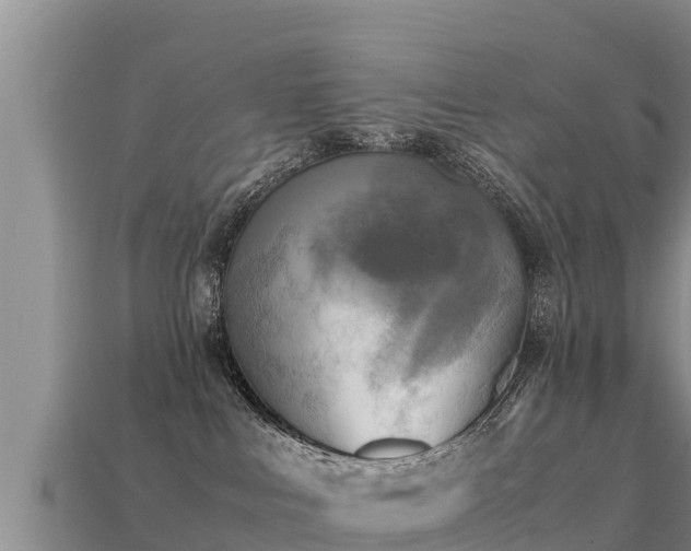 X0000113220043200909171604