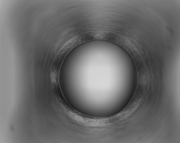 X0000113220044200909171604