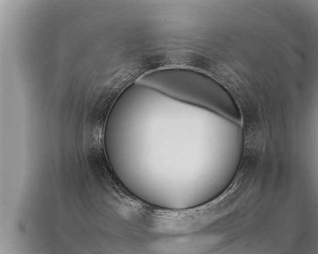 X0000113220045200909171604