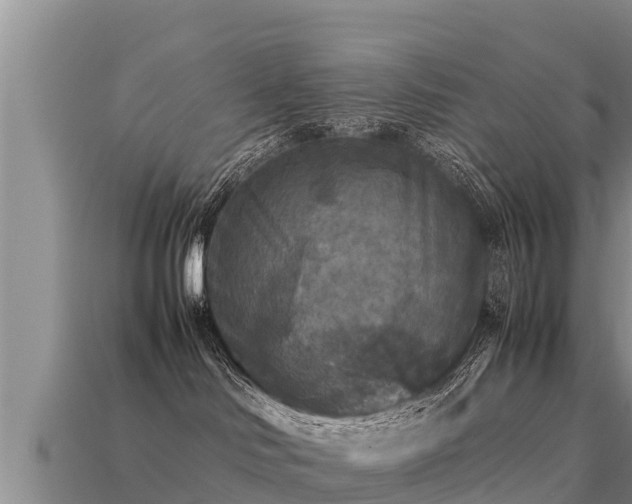 X0000113220046200909171604