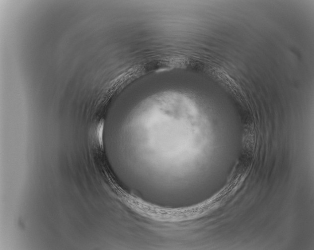 X0000113220047200909171604